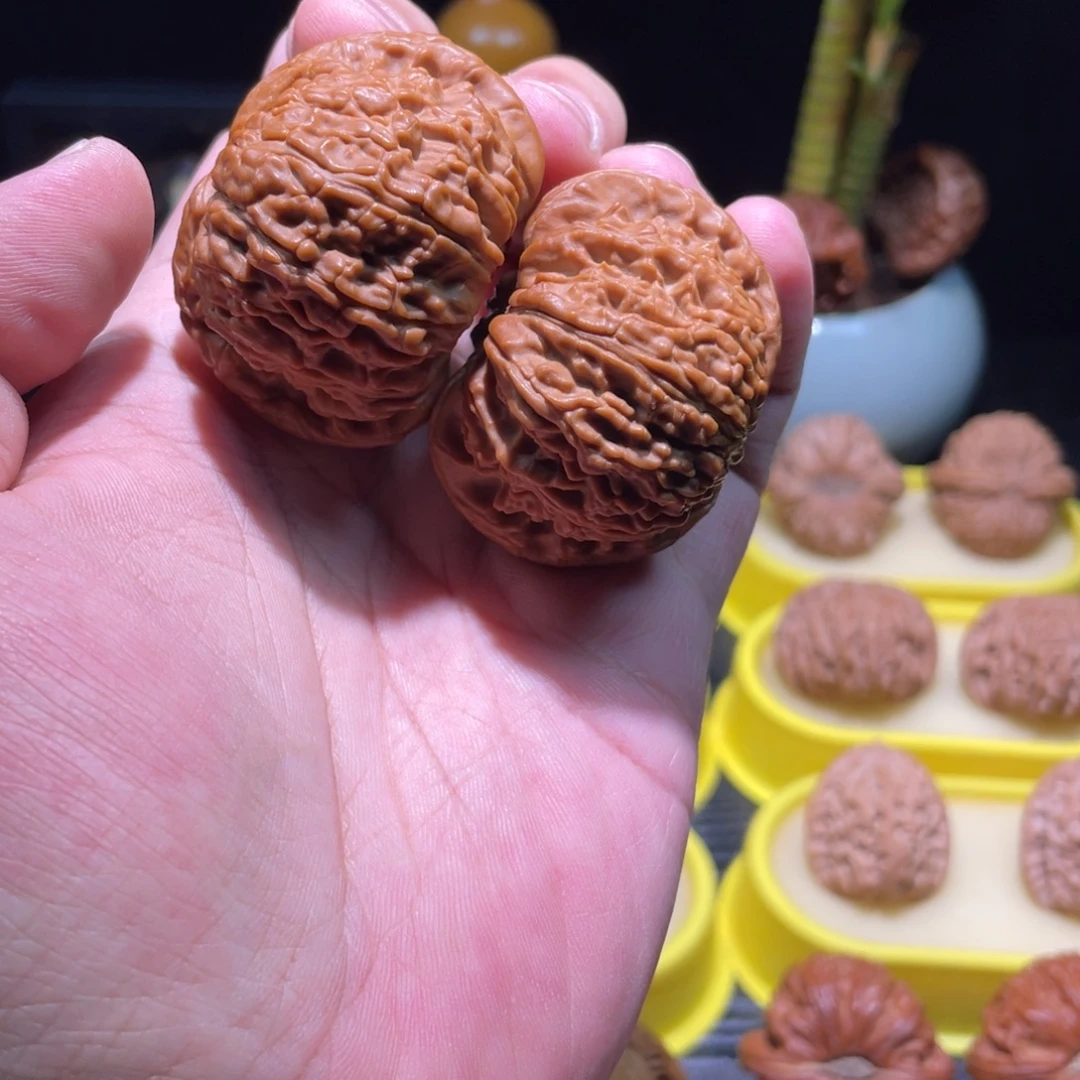 把件文玩核桃48全品大尺寸卡姿兰满肉白狮子50克