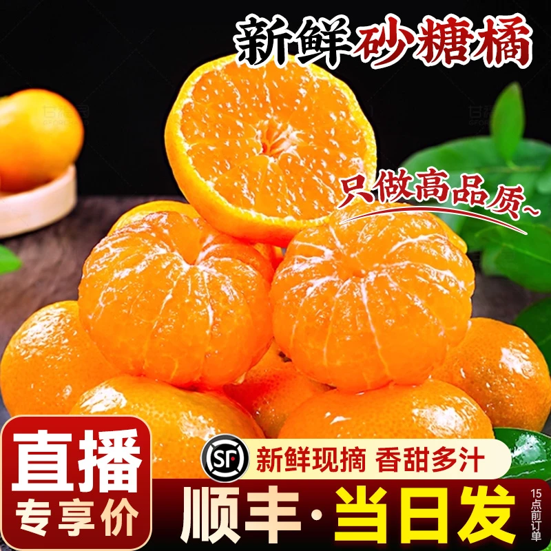 【顺丰送上门】正宗金秋砂糖橘小桔子新鲜水果当季现摘薄皮柑橘蜜桔江苏省