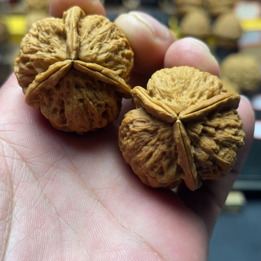 36mm灯笼三棱 43克 29号