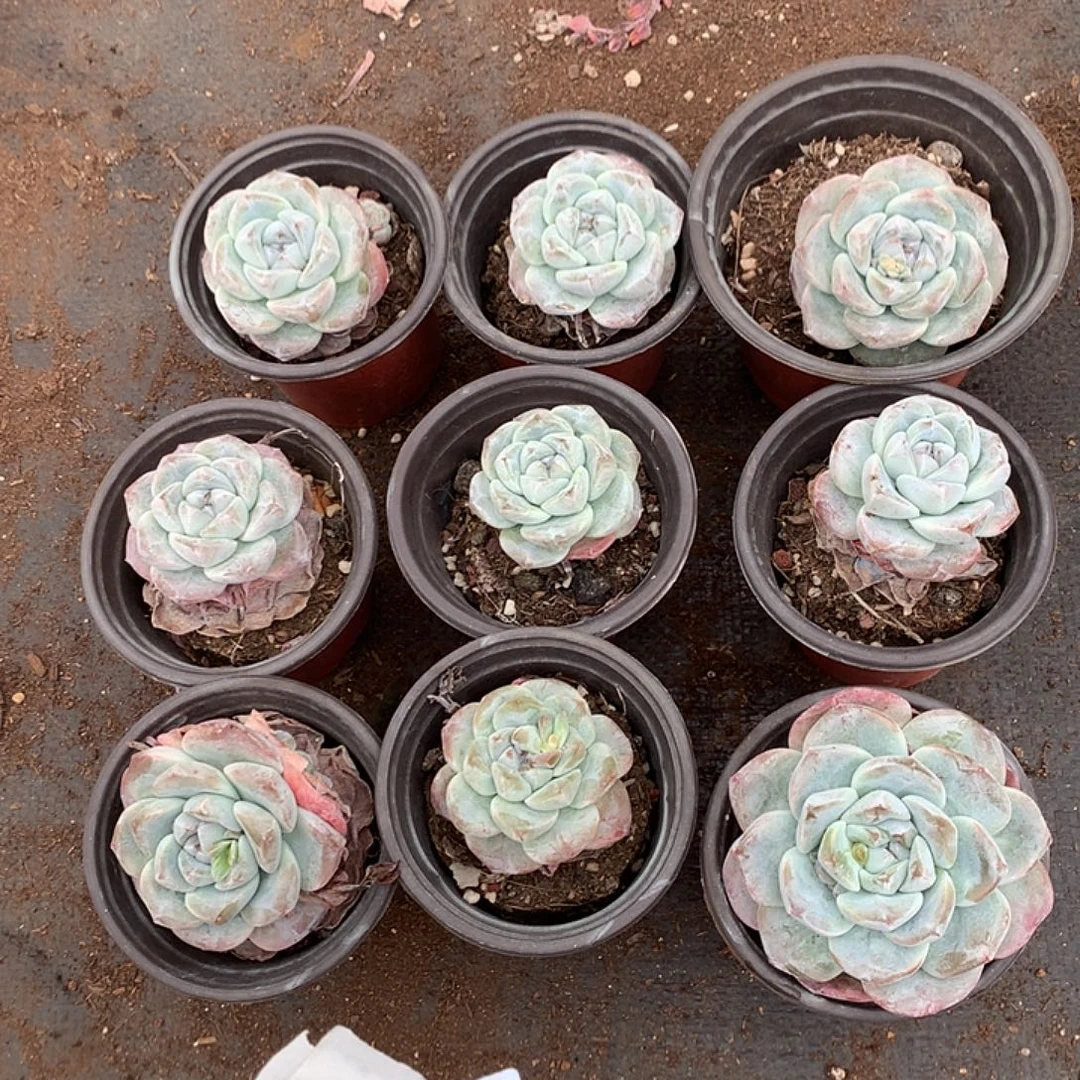 哈哈哈哈哈哈哈哈9