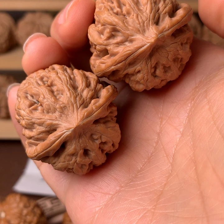 ****乔大叶紫檀（黑酸枝木类）凤凰11个自然保护村