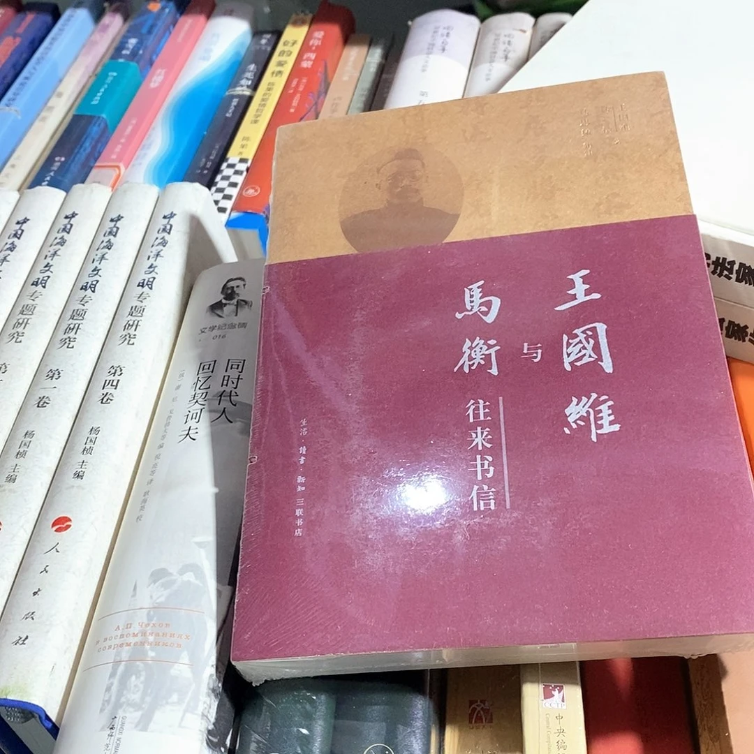 王国维与马哥ni……………………微瑕