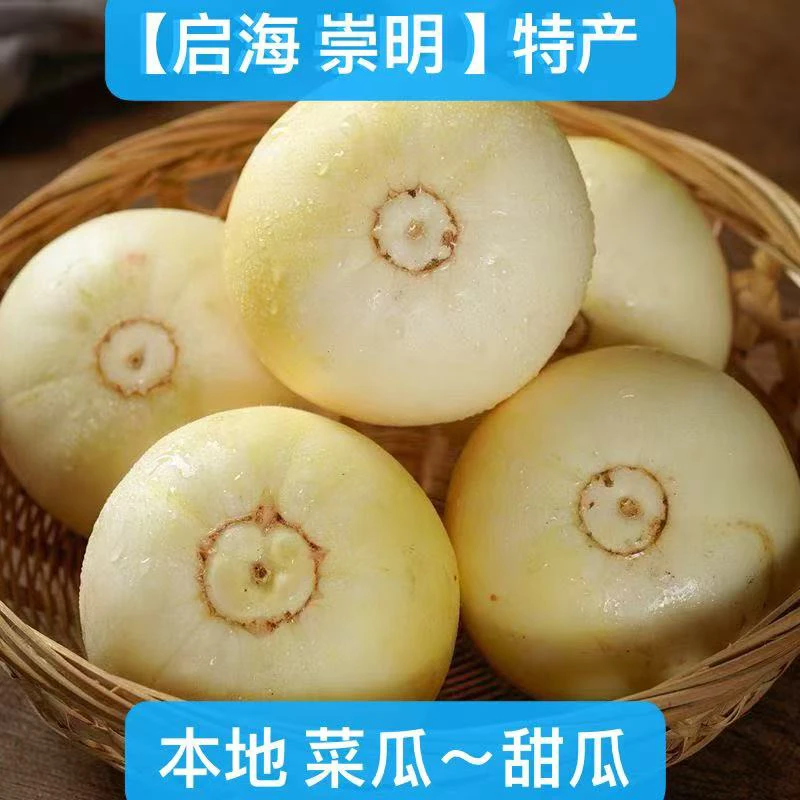 头茬甜宝甜瓜新鲜当季水果薄皮蜜瓜贵妃香瓜