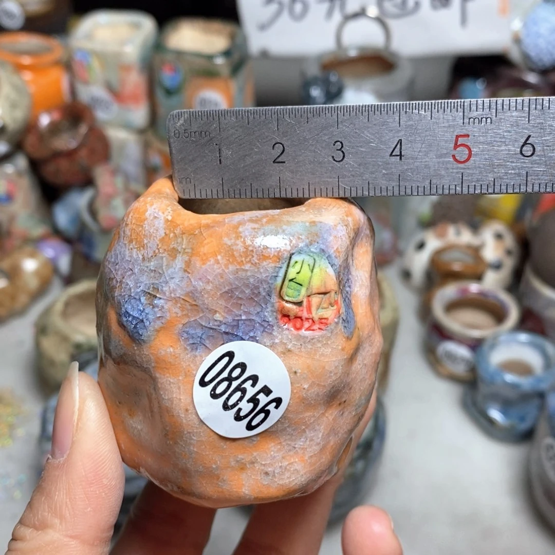 花盆拍3送一个小礼物