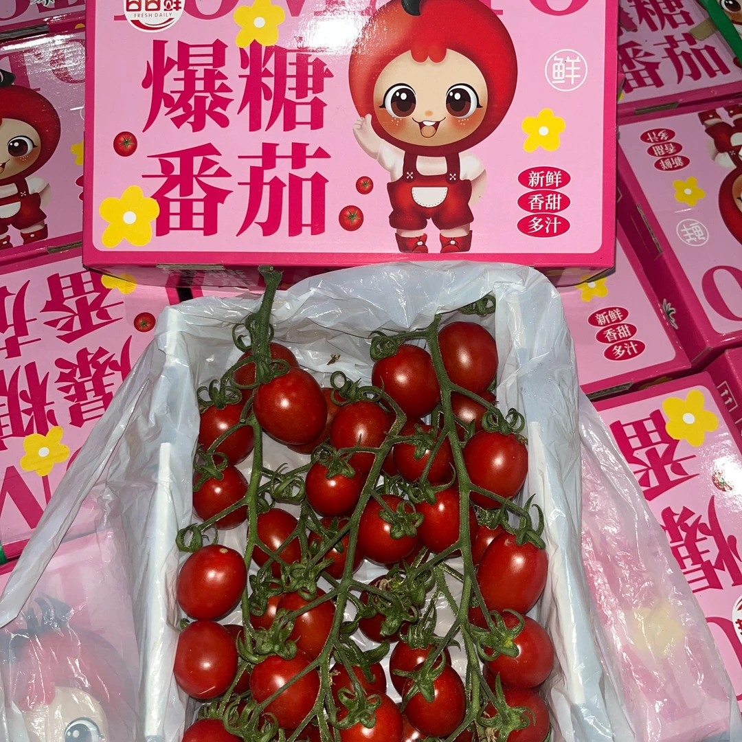 千禧小柿子京东送货上门辽宁省
