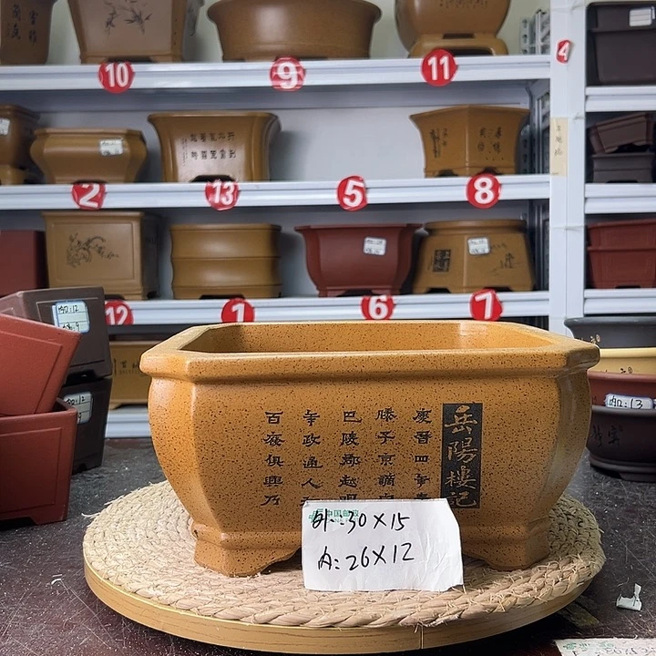 紫砂花盆蛇年大吉