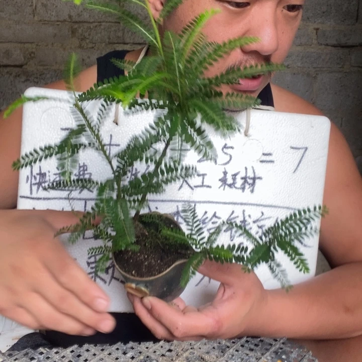 退款拉黑一物一拍9