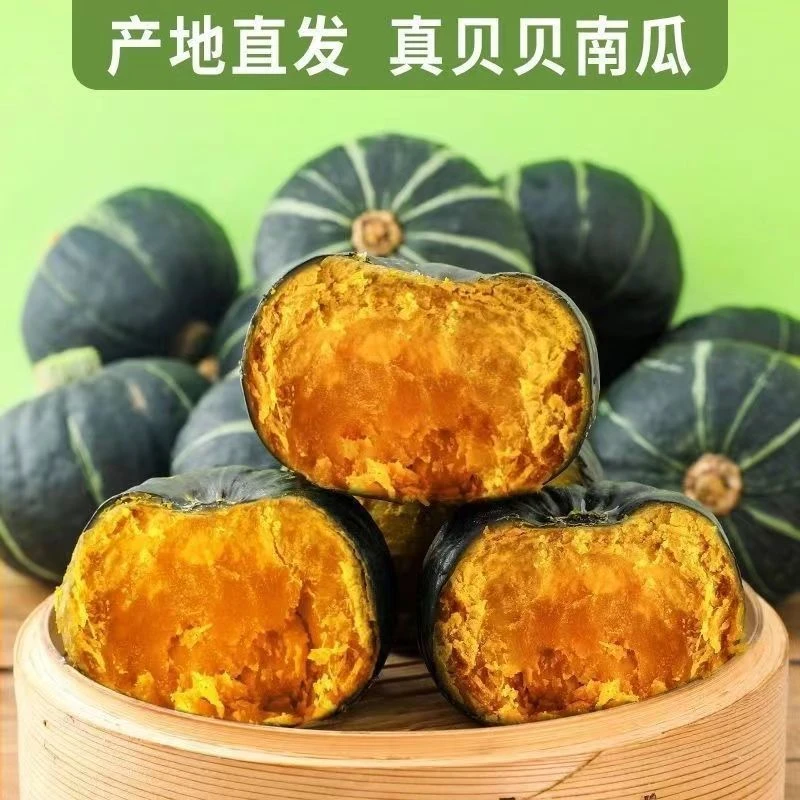 粉糯香甜贝贝南瓜板栗味宝宝辅食粗粮代餐小南瓜H
