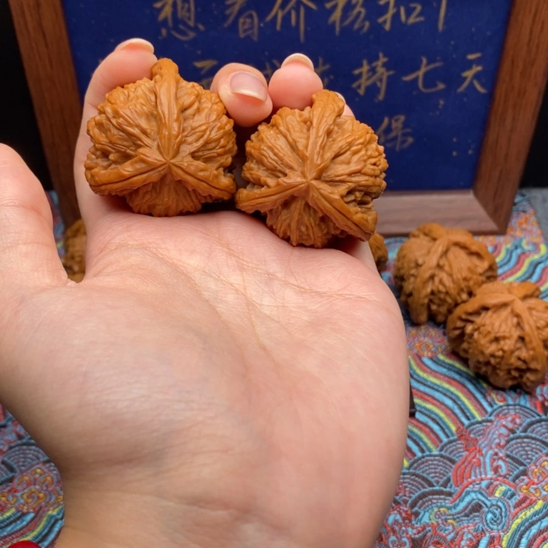 【闪购商品】狼*白狮