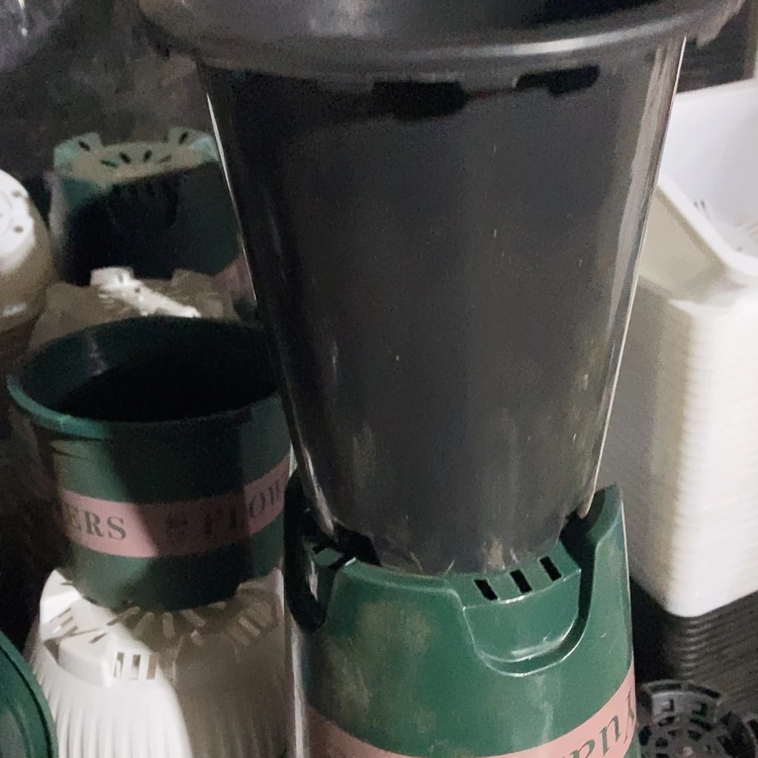 塑料新180 兰花盆15个