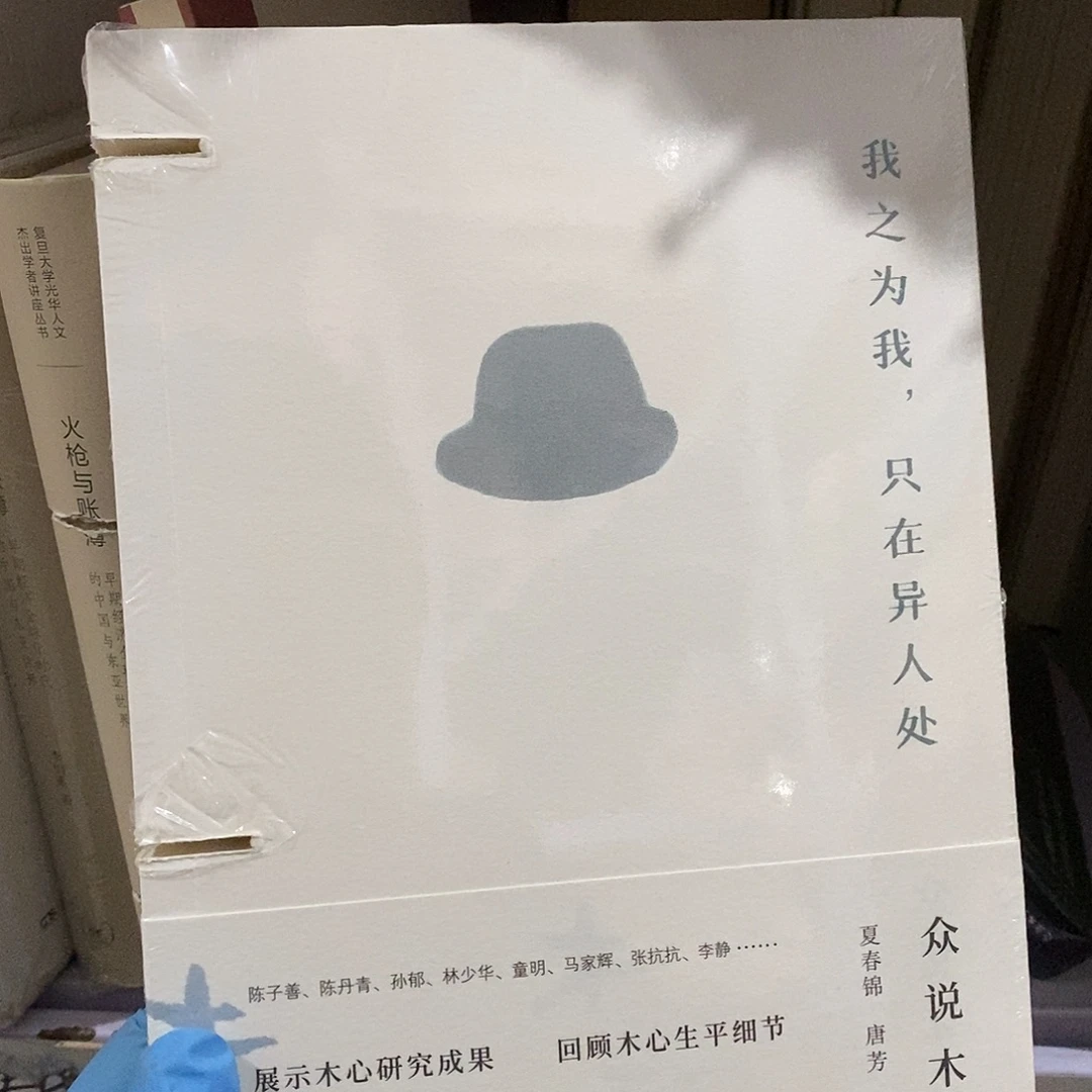 瑕疵锯口 众说木心