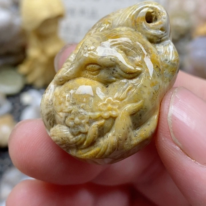 颈饰未镶嵌硅化珊瑚（珊瑚玉）小