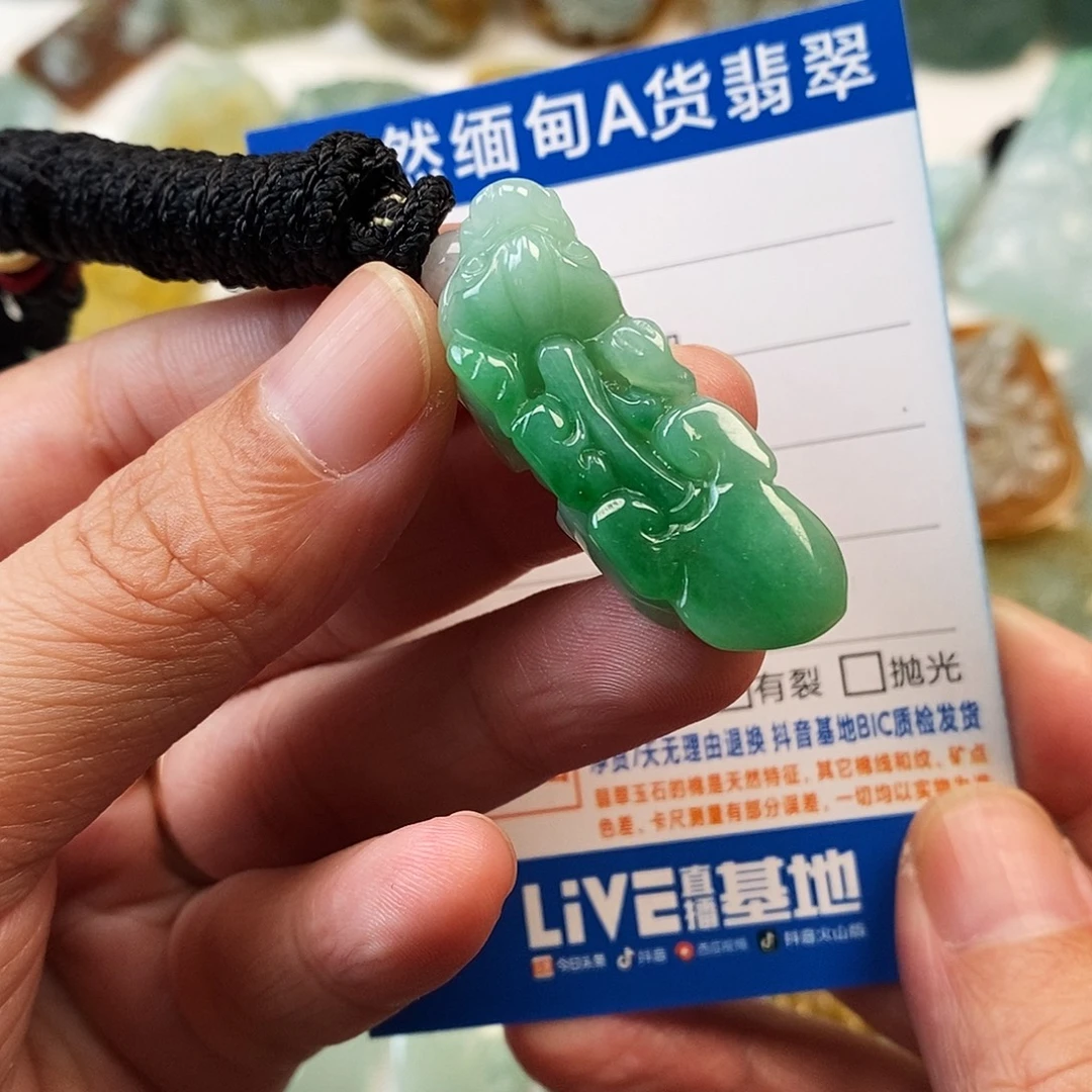 翡翠未镶嵌颈饰貔貅