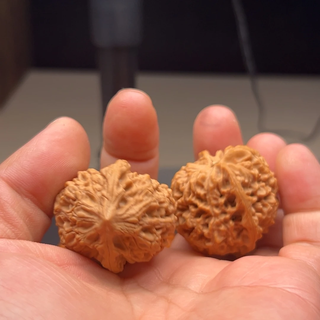 宁***:文玩核桃吊坠太行龙纹阿宁