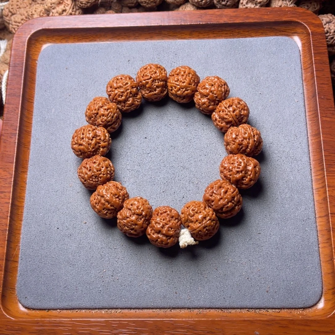 菩提籽类2号金刚菩提满肉梅花20+