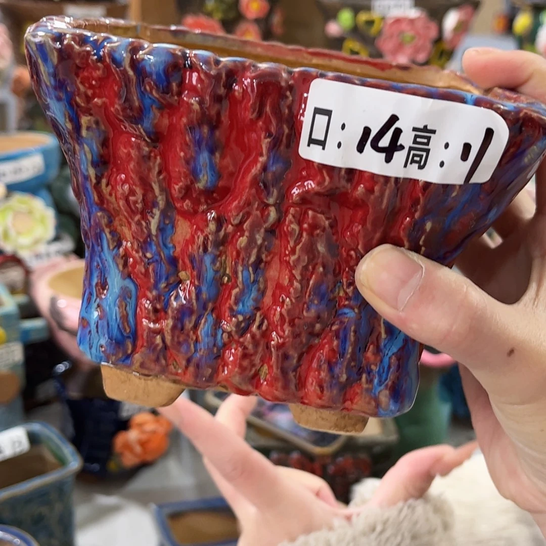 【闪购商品】红陶福利