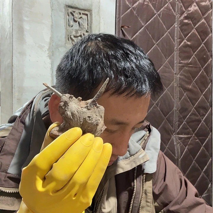 心***私柏木崖柏毛料的加工