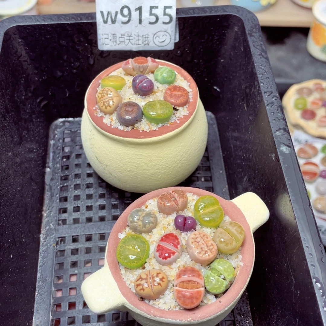 w9155锅锅系列 一份两盆量拍