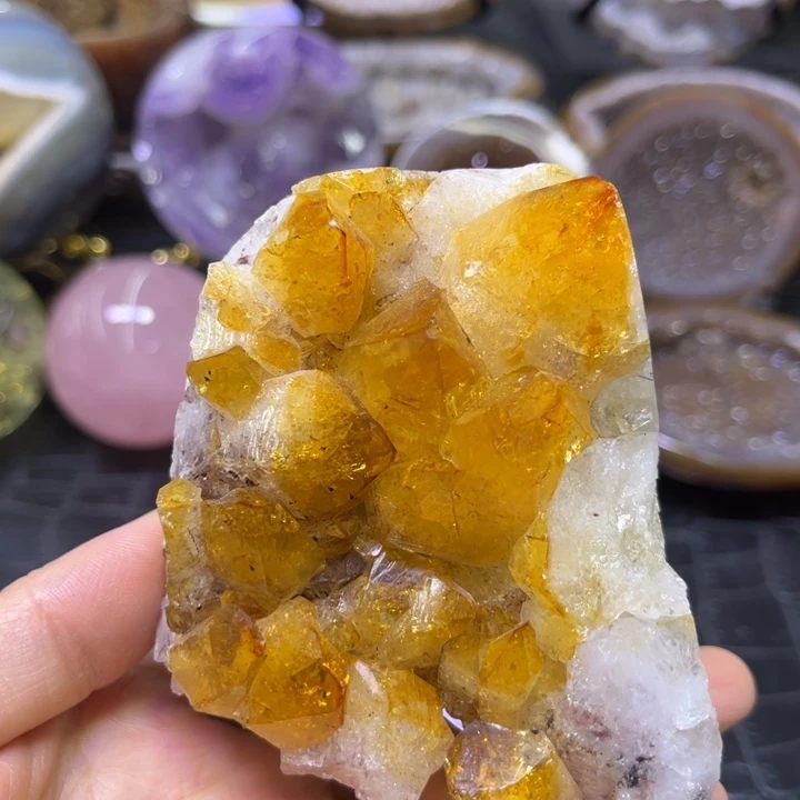 未镶嵌发饰水晶黄金大牙簇