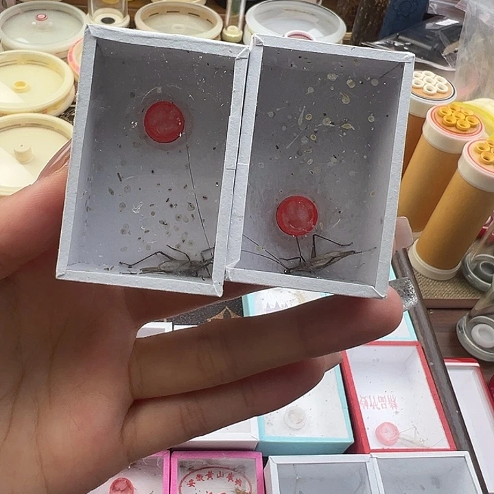 人工黑紫两只包邮