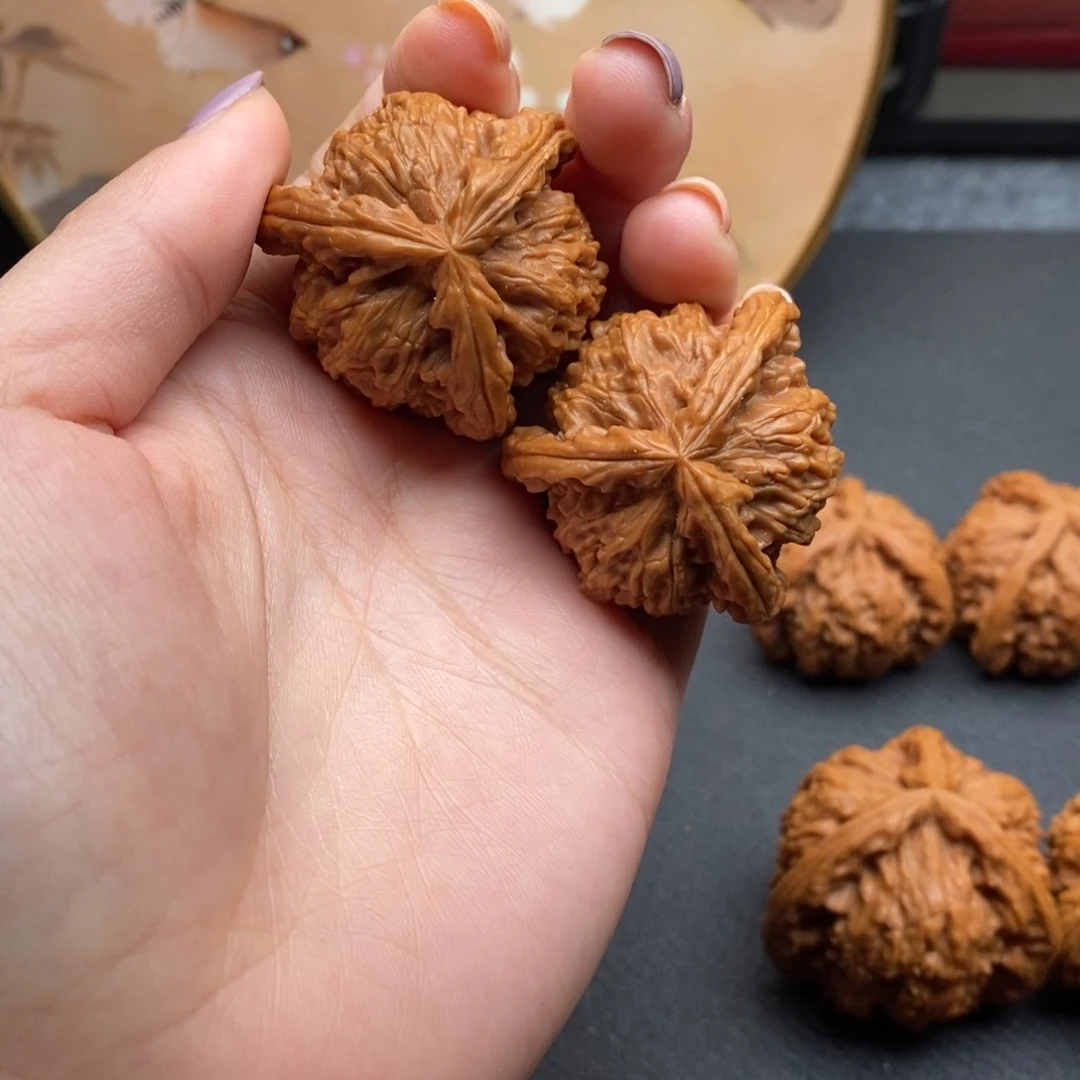 自**翔白狮子凄凄切切凄凄切切亲亲亲