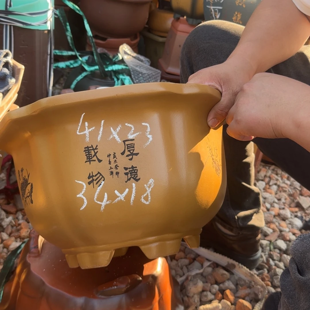 紫砂花盆花盆盆景盆栽