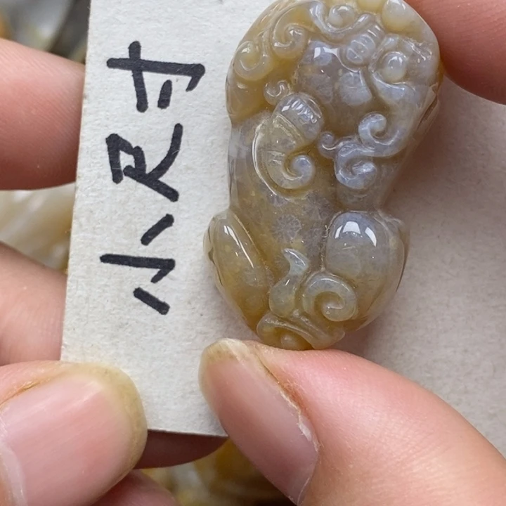 硅化珊瑚（珊瑚玉）未镶嵌颈饰