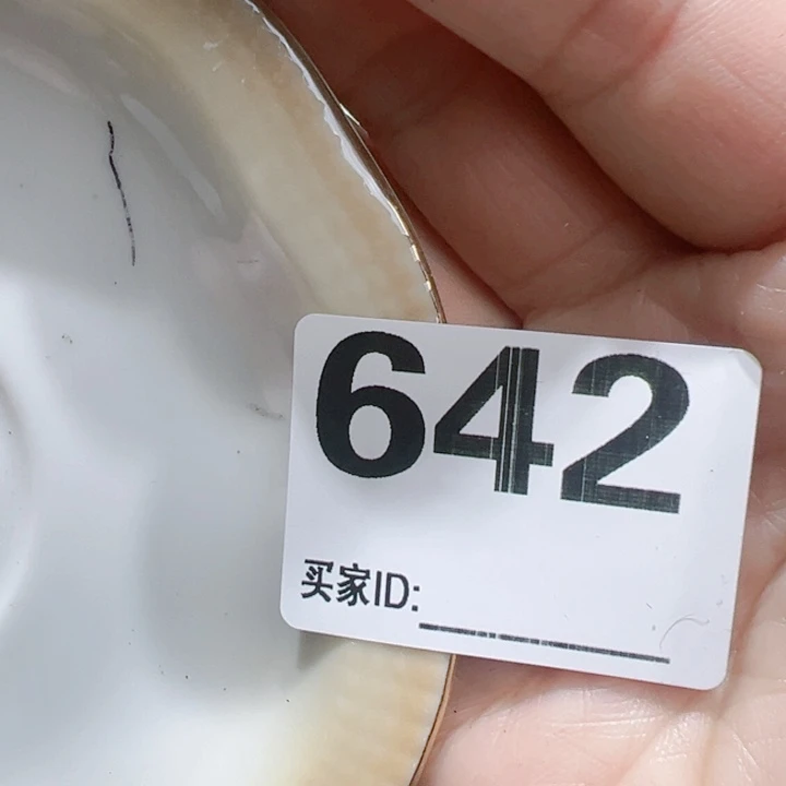 瓷片咯*Hpcocyocgofyovy