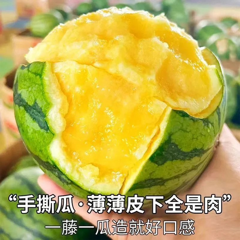特小凤黄心西瓜新鲜水果西瓜