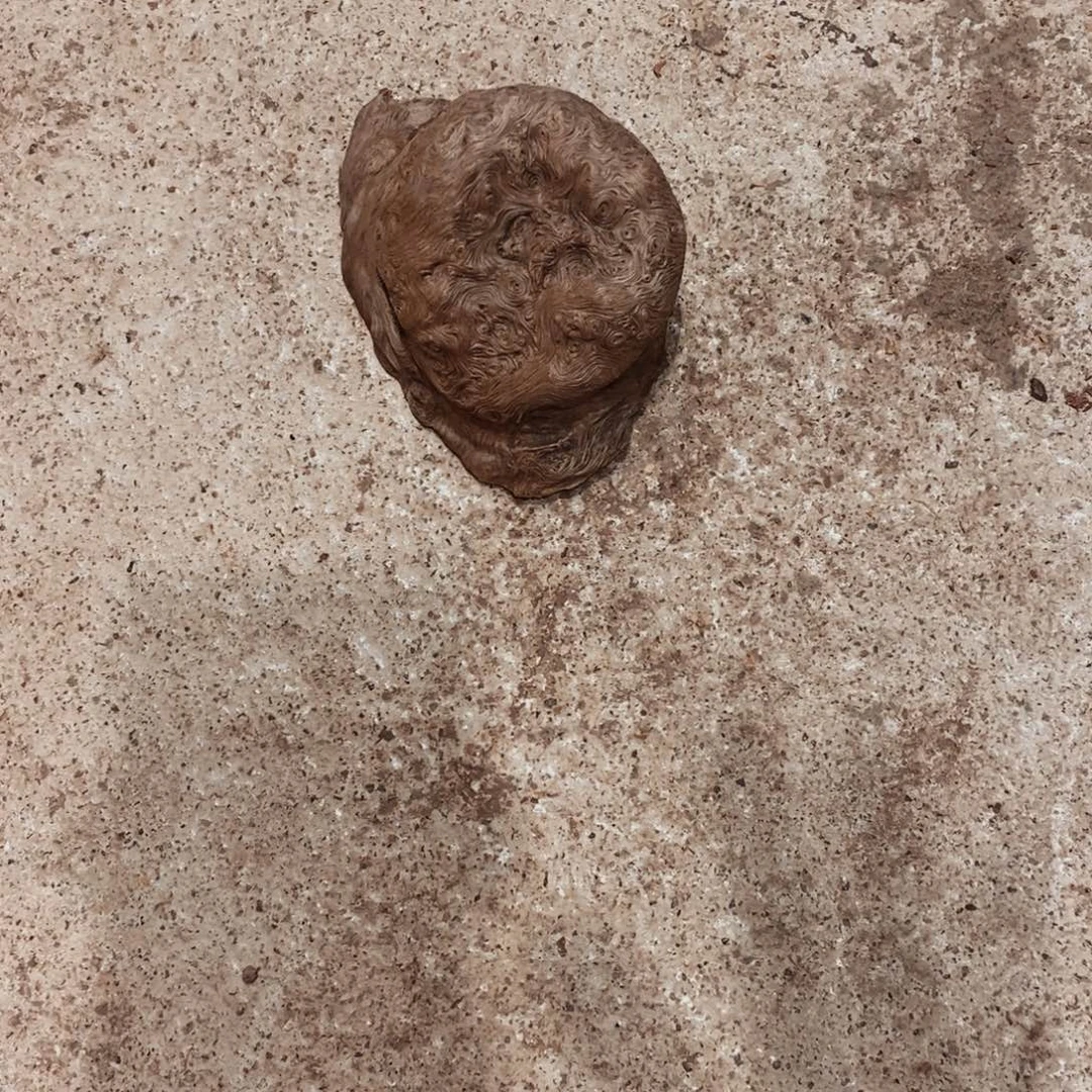 用***7荔枝木随形木材一个