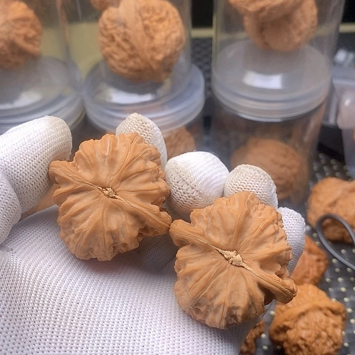 文玩核桃吊坠你*板白狮子