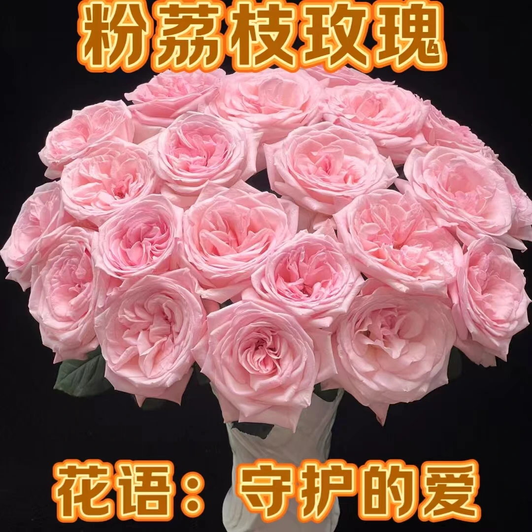 粉荔枝10支鲜花全场任意两单顺丰包邮