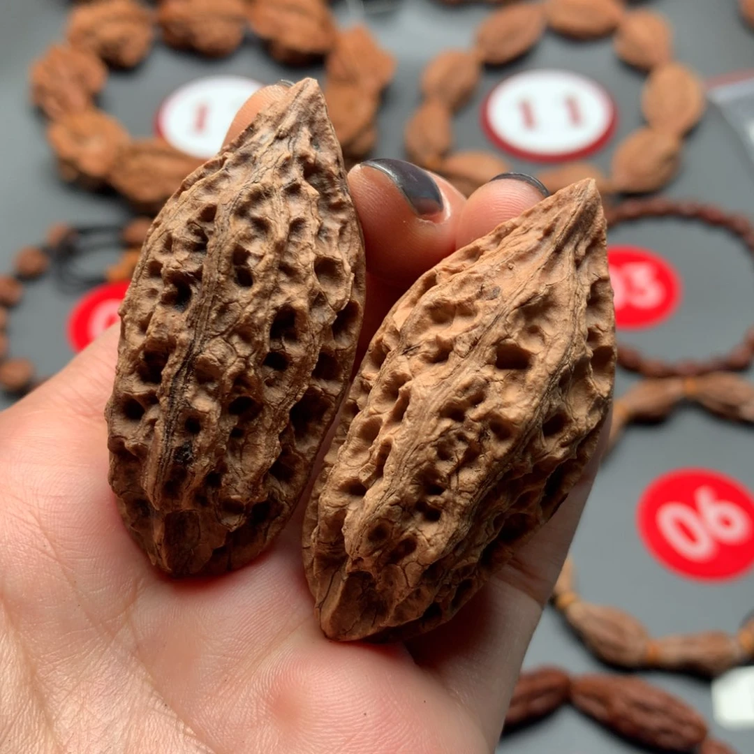 核桃43东北秋子柳叶