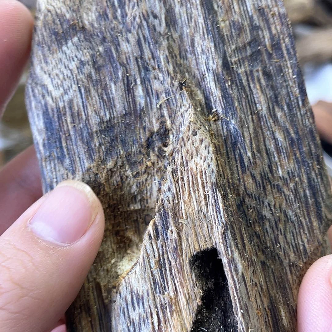 木绿奇楠原材料虫漏40克