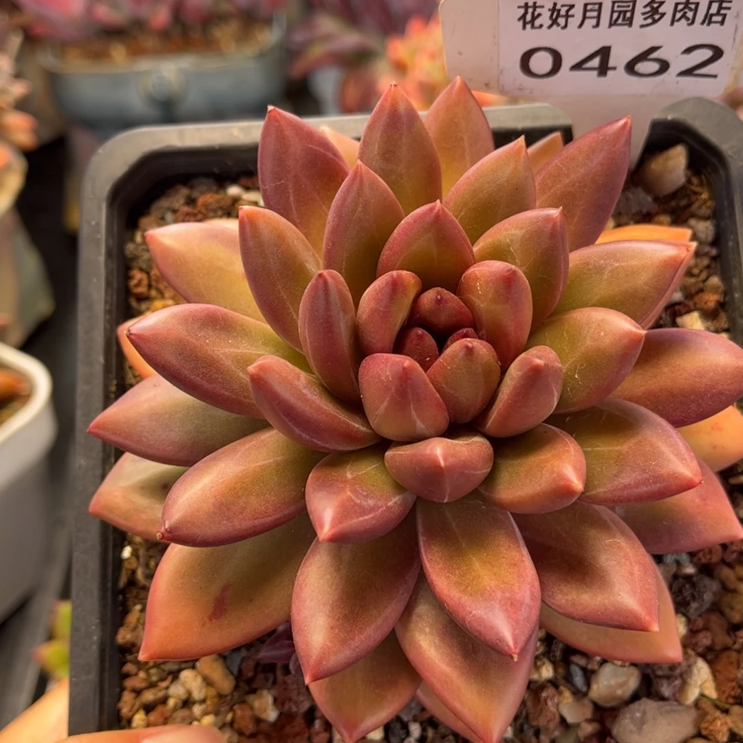 我***看0462 满30包邮天冷必拍保温箱