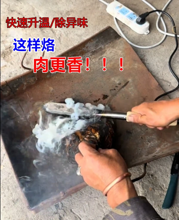 新款烧猪毛烙猪毛电烫猪皮烙肉器烙毛除毛洛铁家用电烙铁