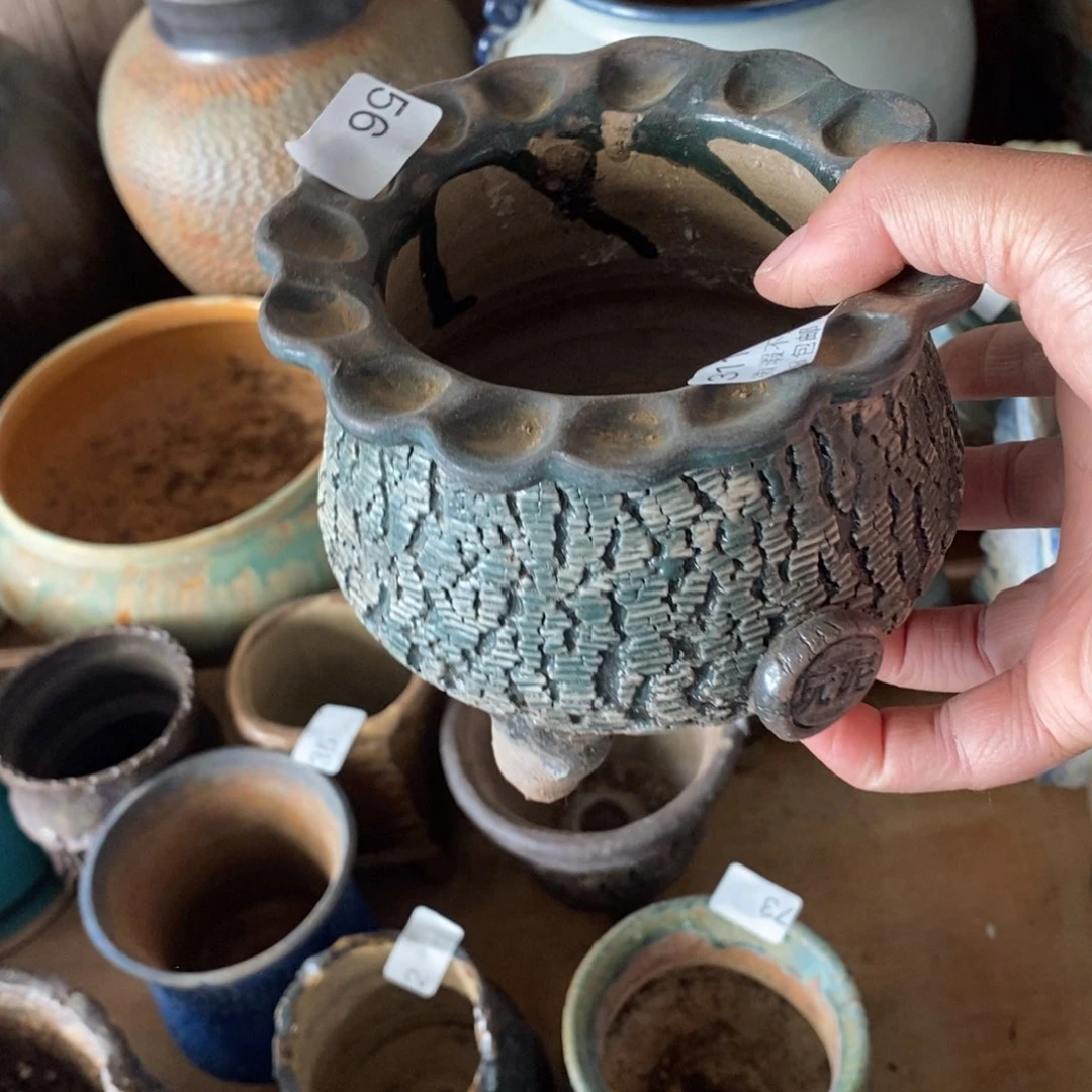 红陶喜****狼26号多肉盆一个呀