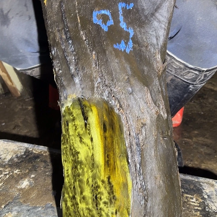 *****金丝楠啊啊啊啊啊啊