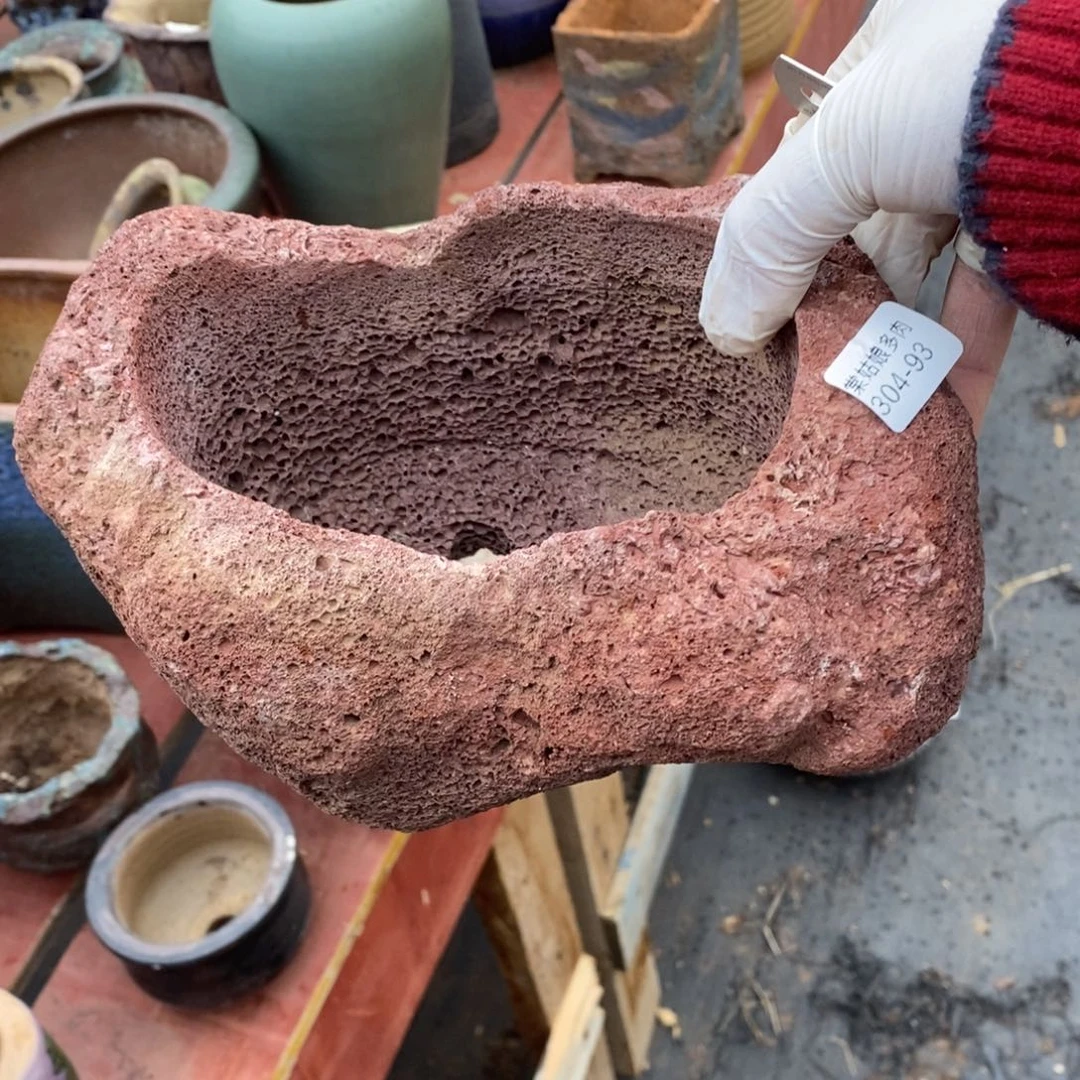 红陶往**烟93号多肉盆一个呀