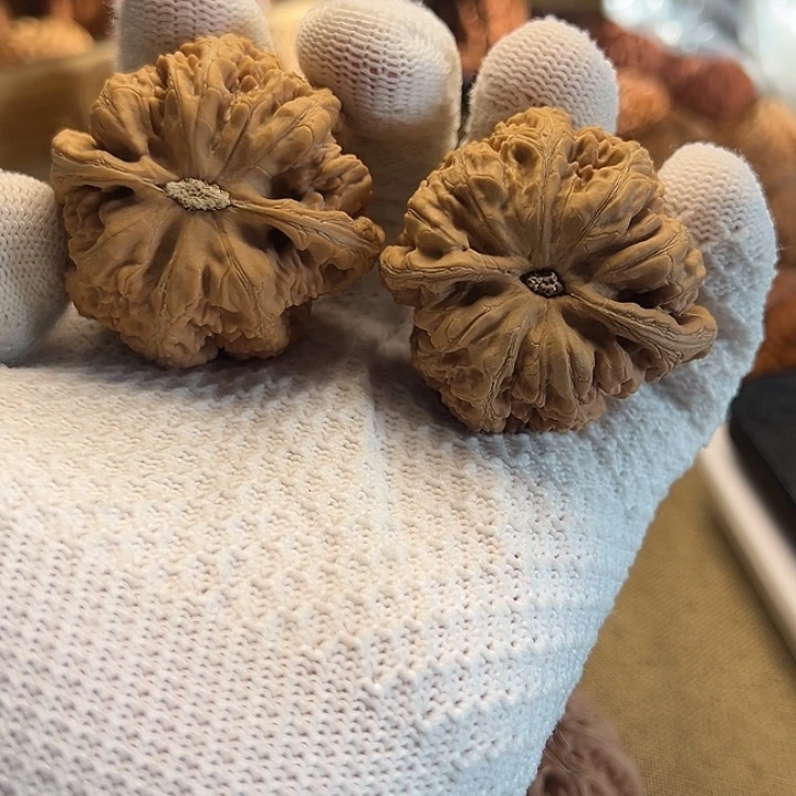 拧****文玩核桃吊坠粗筋