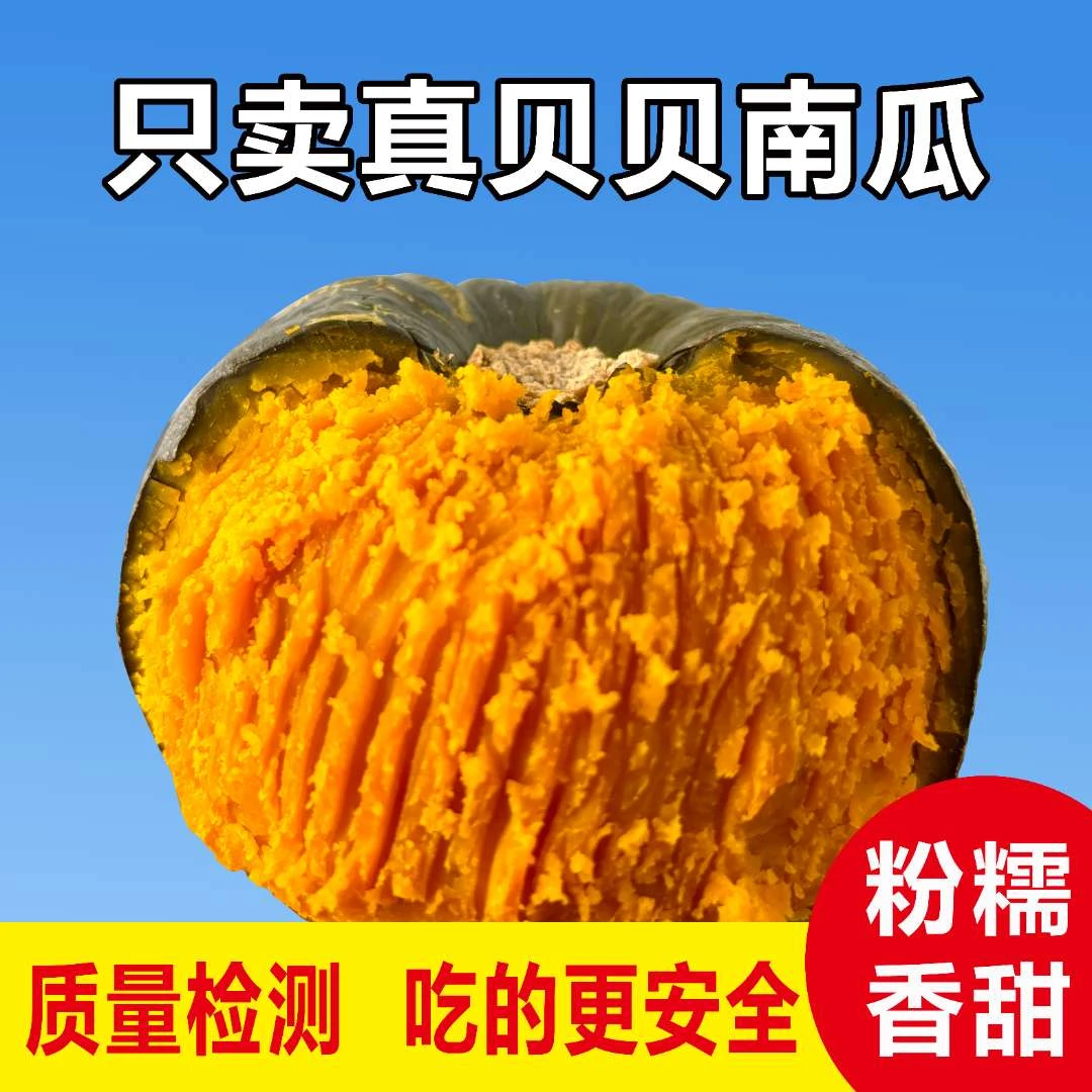 （不粉包赔）高原沙漠真贝贝南瓜板栗味南瓜新鲜老南瓜婴儿辅食粉糯