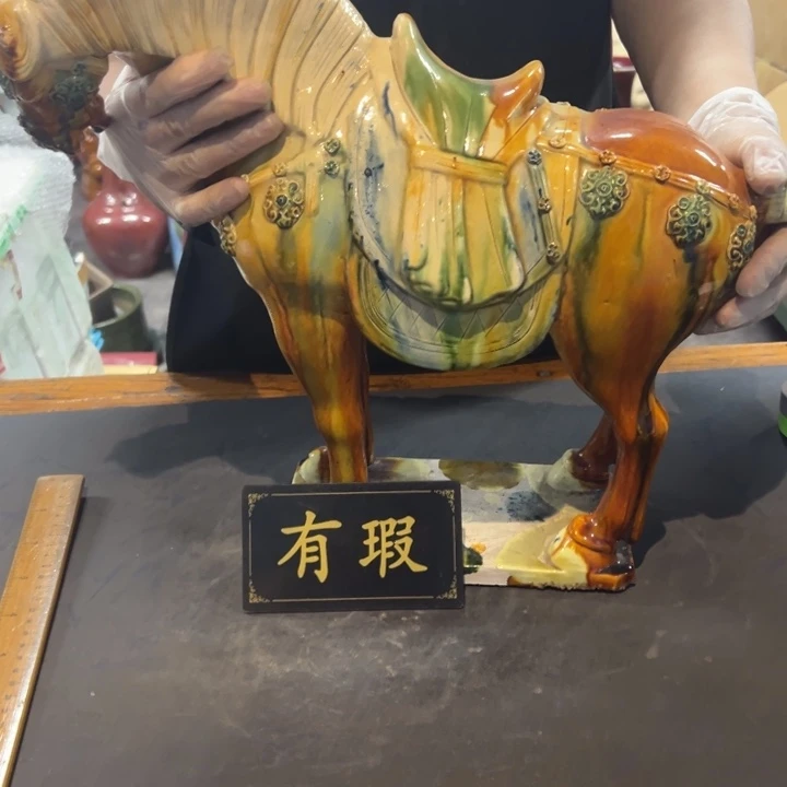 宝***雪瓷片拾六家的瓷器瓷器