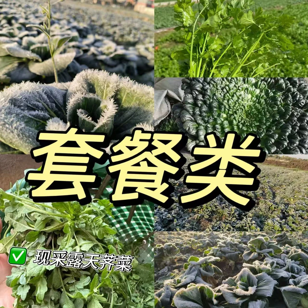 【露天霜冻】套餐装趴地小菠菜矮脚苏州青乌塌菜等等