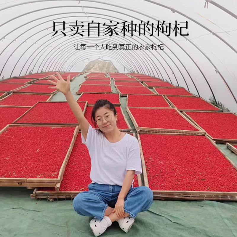2025头茬枸杞小果(自己晾晒，自己种的)