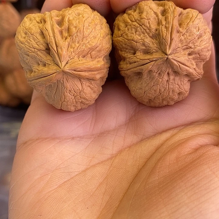 吊坠文玩核桃37粗筋三棱