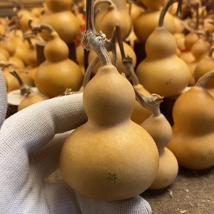 文玩葫芦 完美主义者 慎拍34
