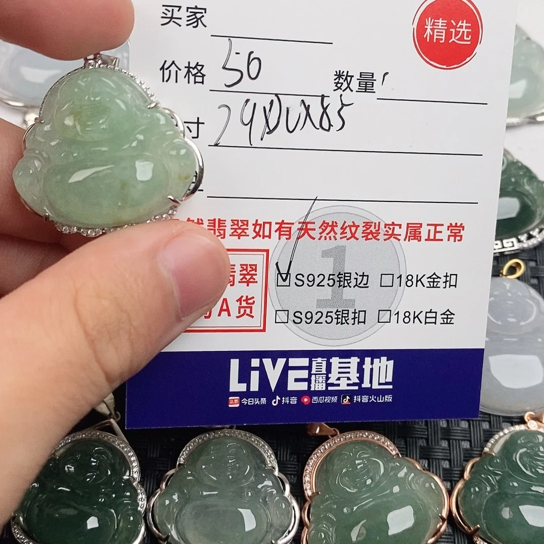 翡翠银S925镶嵌颈饰
