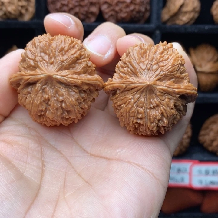 潍***祺核桃137狮子头全品39尺