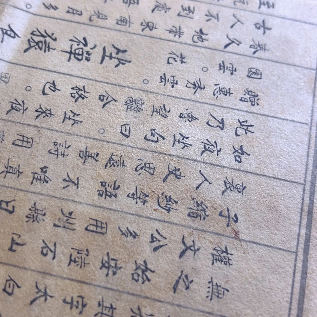 茶宠哈哈哈哈哈哈哈哈哈哈