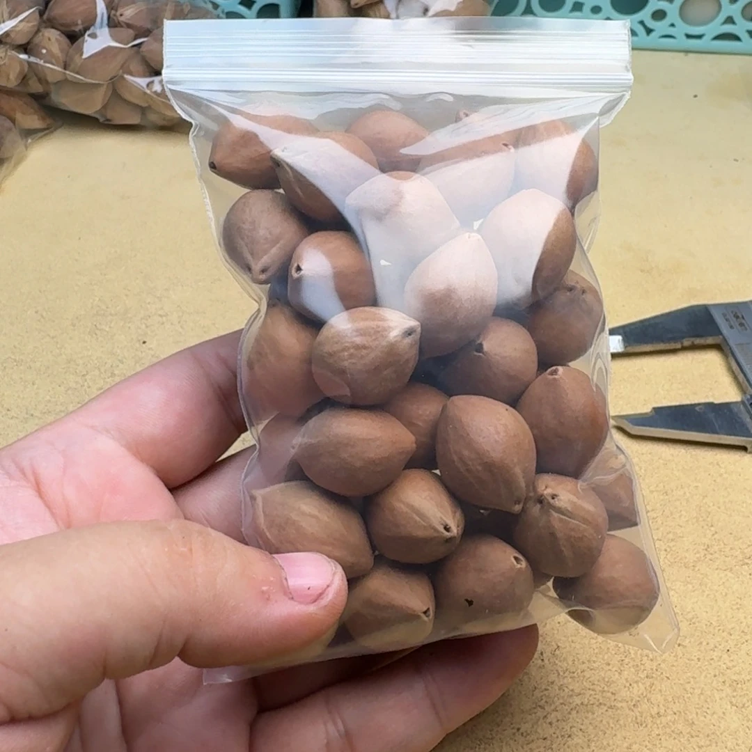 橄榄核手串/手链1